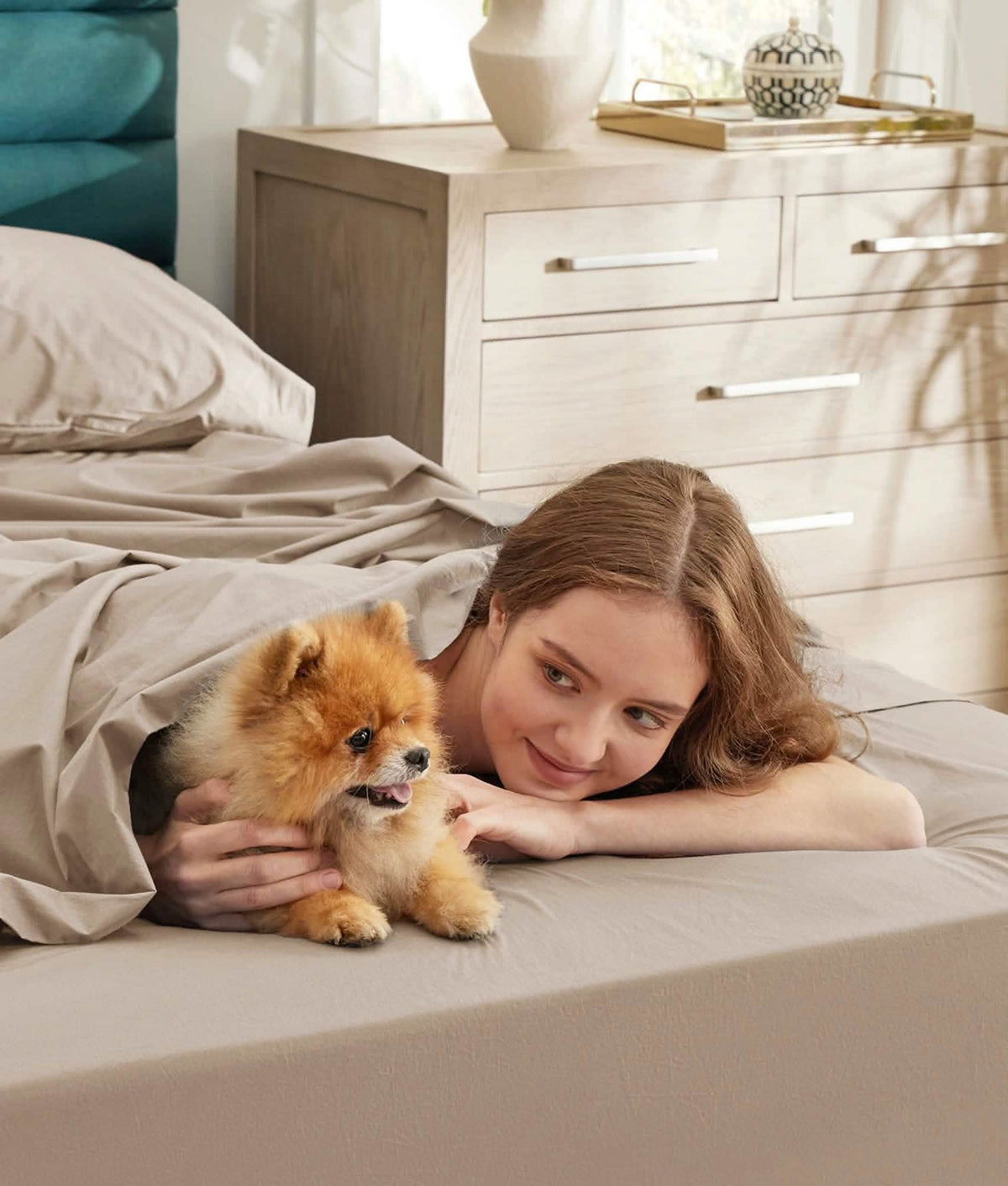 Woman smiling with her Pomeranian dog peeking from taupe GentleSoft Cotton Percale sheets in a cozy bedroom.