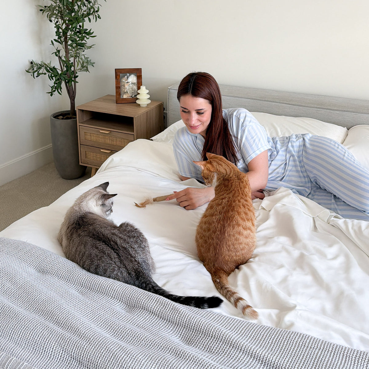 FurAway Ultimate Bundle - complete pet hair resistant bedding set | Nolan Interior